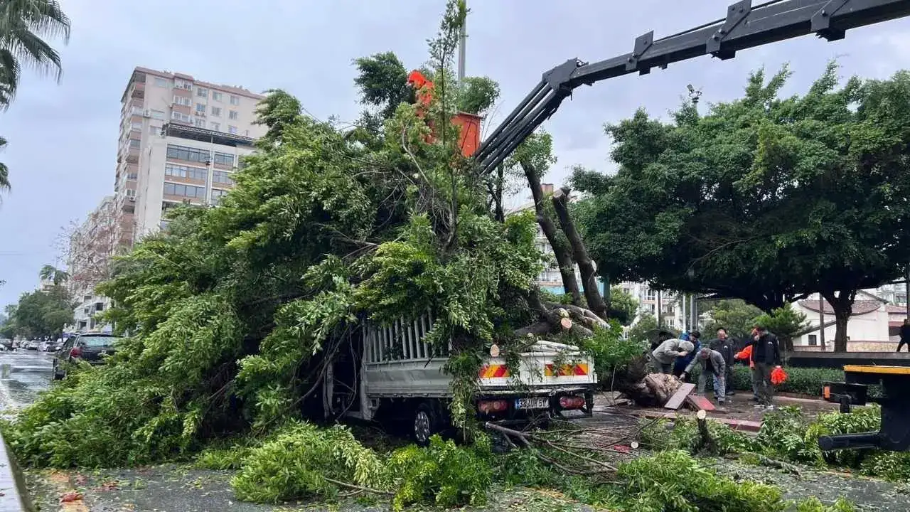 Mersin’de Şiddetli Yağış Felaketi: Devrilen Ağaç 3 Aracı Altına Aldı! 2